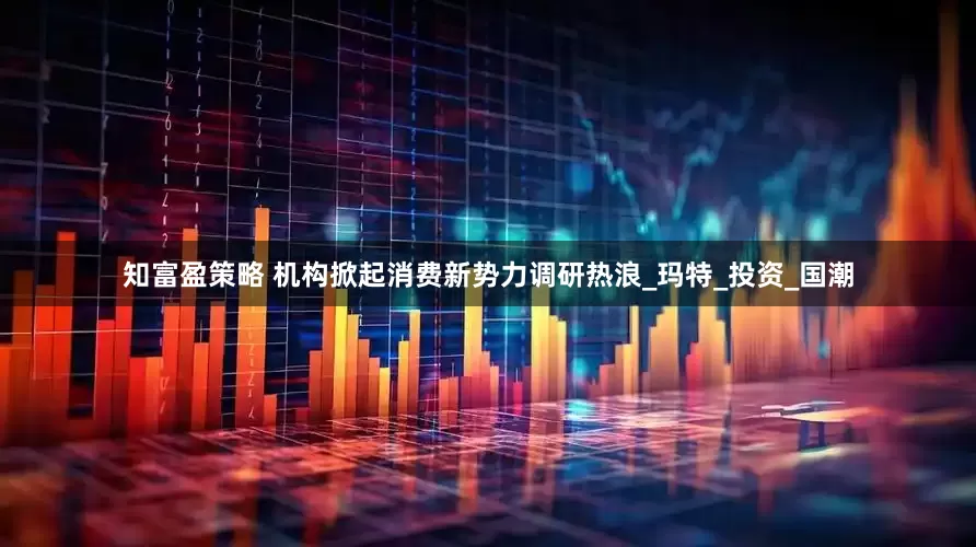 知富盈策略 机构掀起消费新势力调研热浪_玛特_投资_国潮