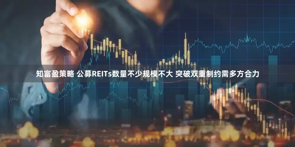 知富盈策略 公募REITs数量不少规模不大 突破双重制约需多方合力