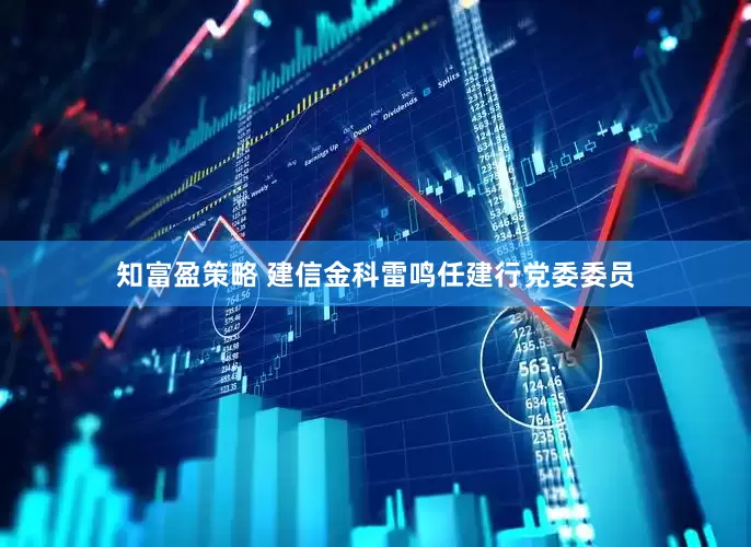 知富盈策略 建信金科雷鸣任建行党委委员