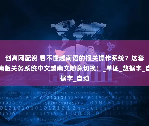 创高网配资 看不懂越南语的报关操作系统？这套越南版关务系统中文越南文随意切换！_单证_数据字_自动