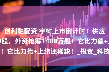 创利融配资 宇树上市倒计时！供应商龙头+唯一参股，外资抢筹1400万股！它比力德+上纬还稀缺！_投资_科技_公司