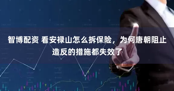 智博配资 看安禄山怎么拆保险，为何唐朝阻止造反的措施都失效了